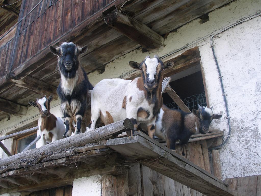 Oberschoellberghof Luttach Exterior foto